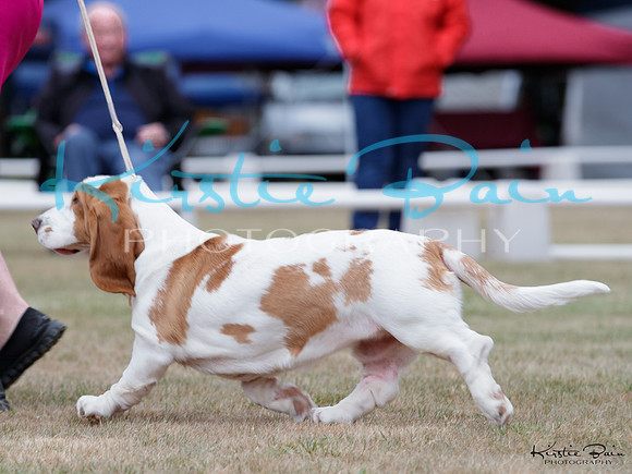 KBP17580