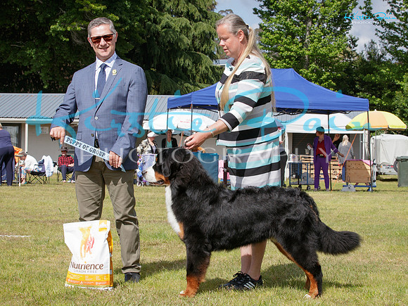 KB012797