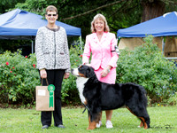 New Zealand Bred Stakes