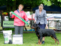 Best in Show