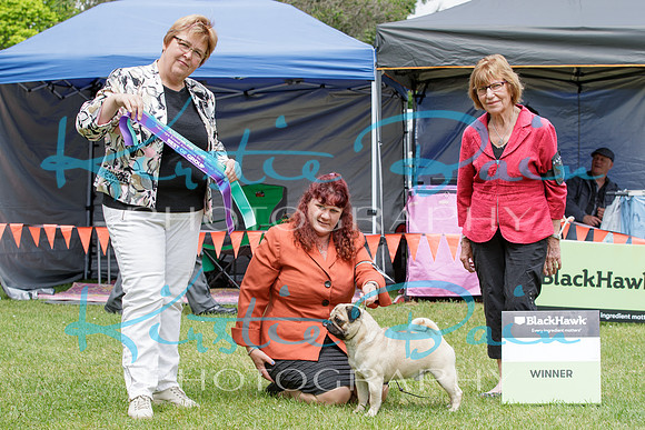 KBP11137