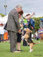 Franklin Kennel Association