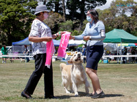 Wanganui Kennel Society