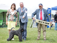 Hawkes Bay Terrier Club