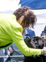 East Coast Ladies Kennel Association