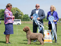 East Coast Gundog Show