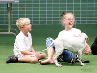 Hutt Valley Kennel Centre