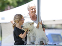 Huntly & Districts Open Show