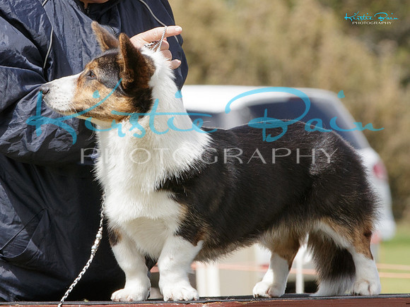 KB013800
