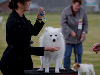 New Plymouth Kennel Centre