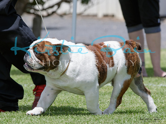 KBP10582