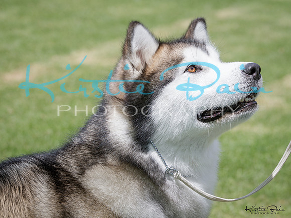 KBP10692