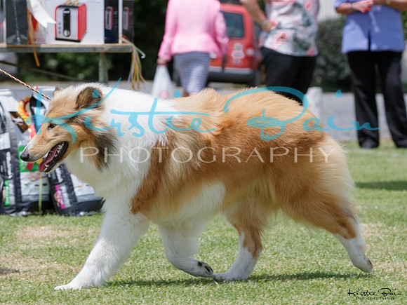 KBP13182