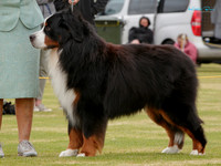 KB015385