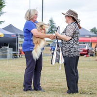 Central N.I. Utility & Non-sporting Dog Association
