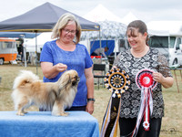Best in Show