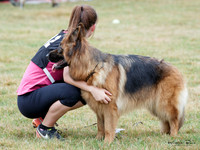 Long Stock Coat Best of Breed