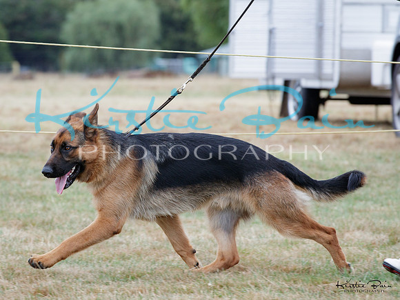KBP17564