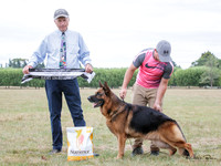 Best in Show