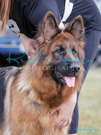 KBP18723