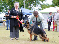 Puppy Stakes