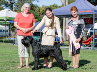 Best in Show