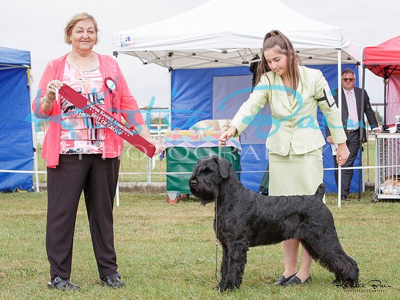 KBP14747
