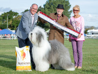 Best in Show