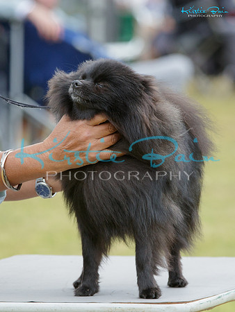 KB011933