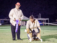 KBP17900