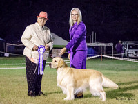 Best in Show