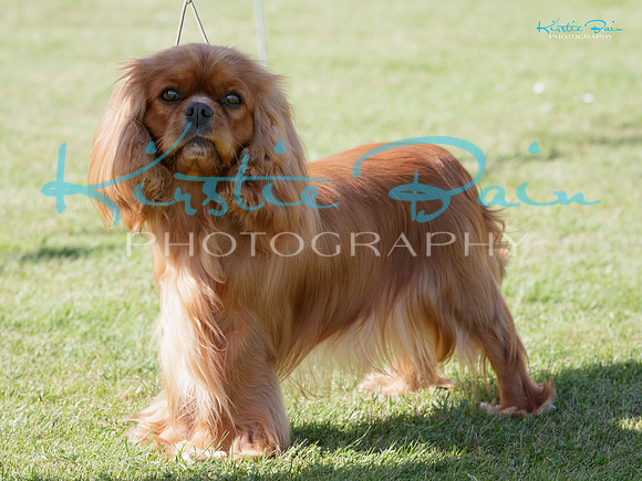 KB018693