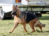 KBP19015