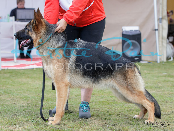KBP19555