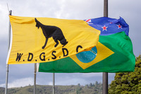Wellington District German Shepherd Dog Club