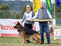 Best in Show