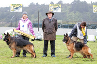 Long Stock Coat Best of Breed