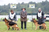 Stock Coat Dogs