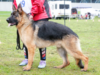 KBP10231