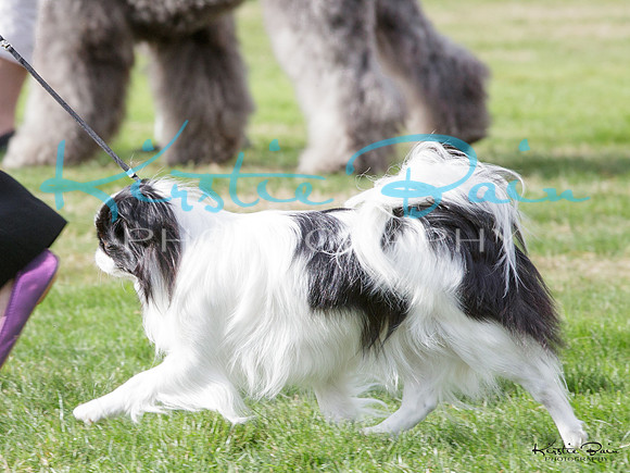 KBP10861