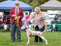 KBP11251