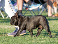 KBP12022