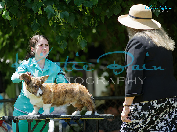 KB017016