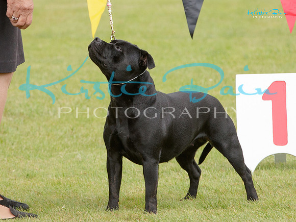 KB011288