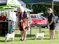 Wanganui Toy Dog Centre