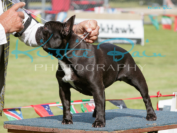 KB012260