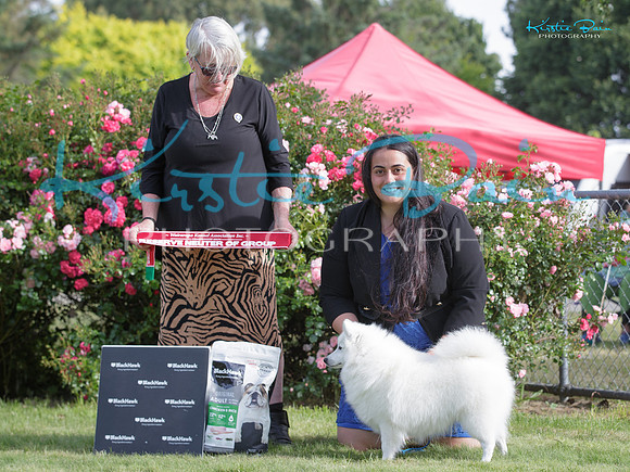 KB013391