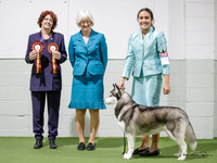 Best in Show