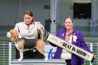 Best in Show