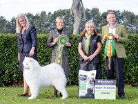 Best in Show
